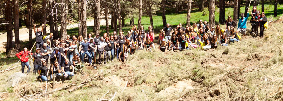 Los empleados de Mary Kay España reforestan la Sierra de Gredos 