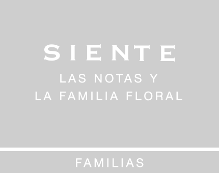 Mary Kay te descubre el mundo de las fragancias