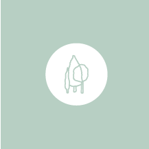 Más de un millón de árboles plantados