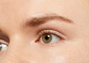 como-elegir-corrector