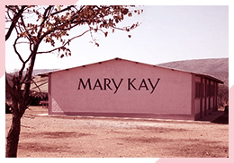 Mary Kay Alemania, Países Bajos y Suecia