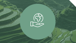 Sostenibilidad medioambiental