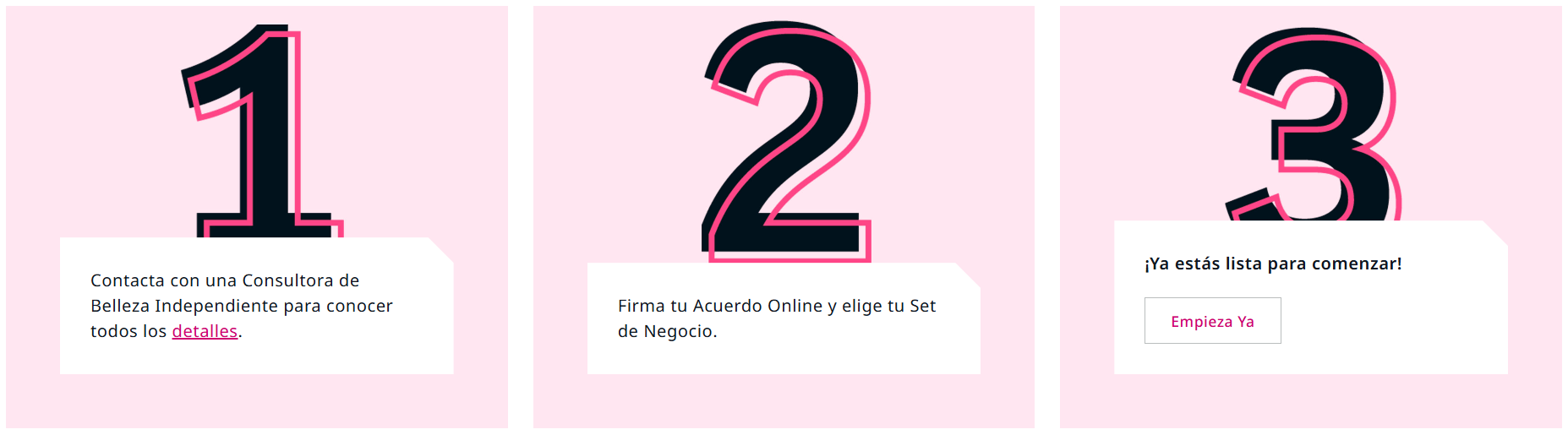 Pasos para ser Consultora