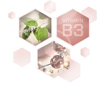 Glosario Ingredientes Mary Kay -  Complejo Age Minimize