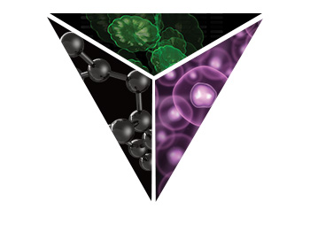 Glosario Ingredientes Mary Kay -  Complejo Volu-Firm